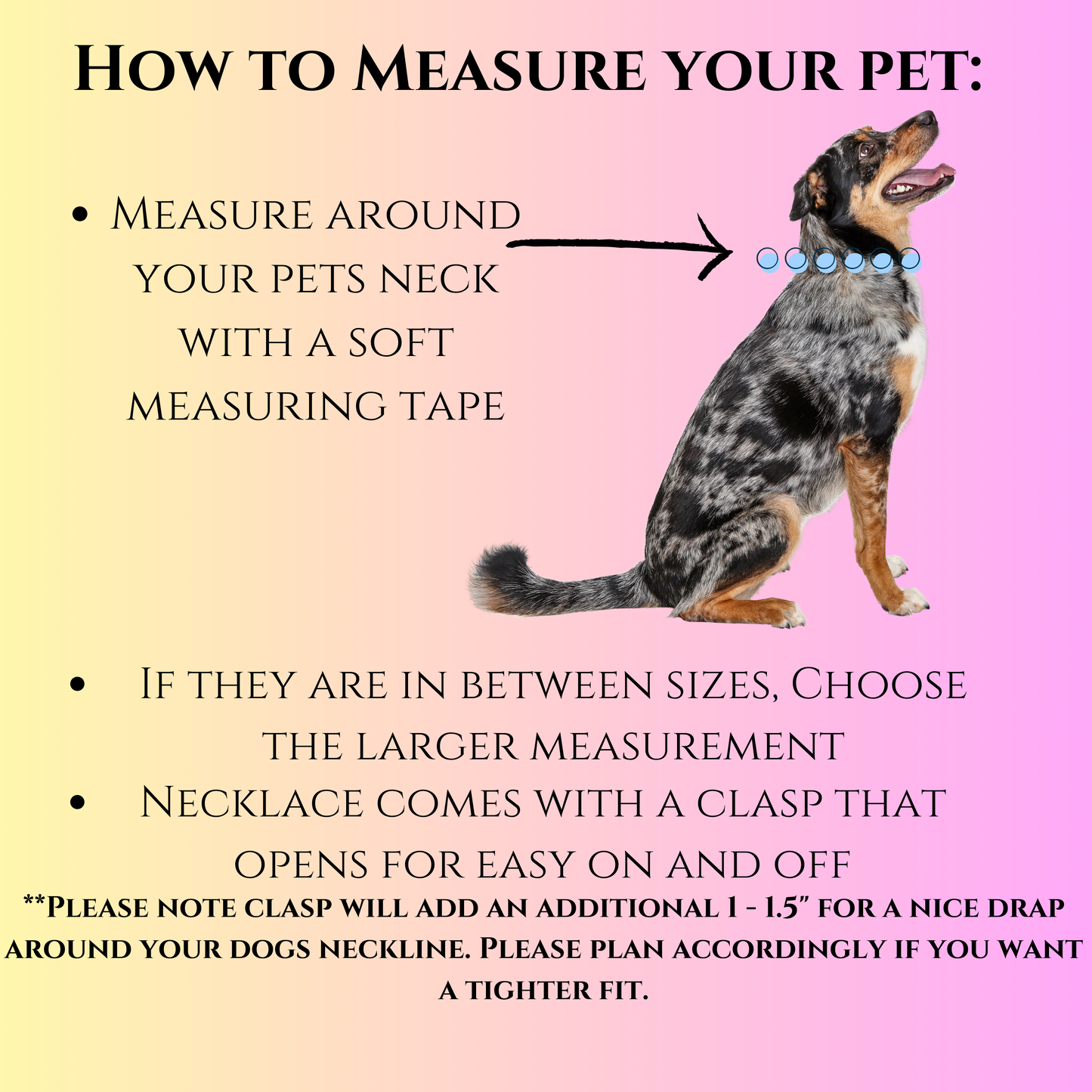 Pastel Beaded Dog Necklace with Personalization