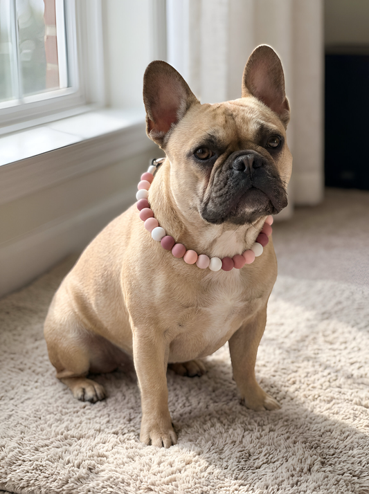 Boho Beaded Dog Collar Necklace