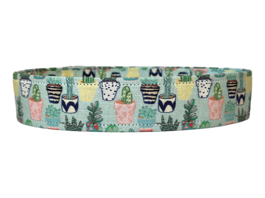 Cacti in Pots, Succulent, Cactus Fabric Wrapped Dog Collar