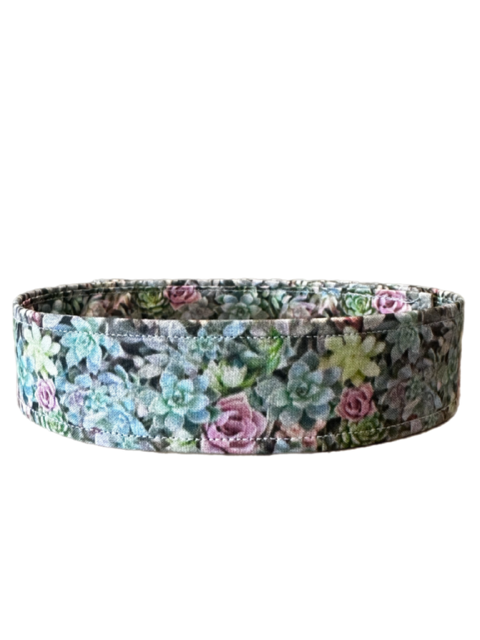 Pastel Succulents and Roses Floral Dog Collar