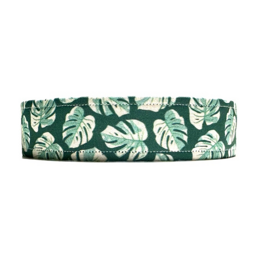 Monstera Dog Collar
