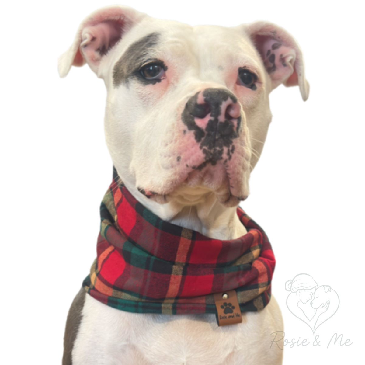 Flannel Plaid Dog Infinity Scarf