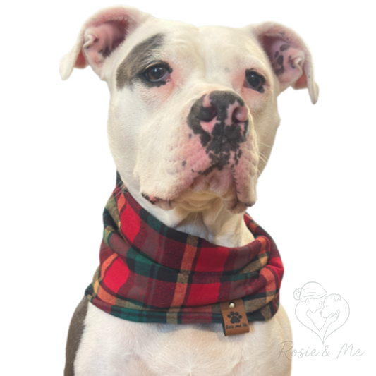 Flannel Plaid Dog Infinity Scarf