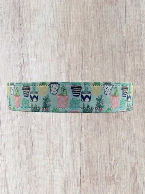 Cacti in Pots, Succulent, Cactus Fabric Wrapped Dog Collar